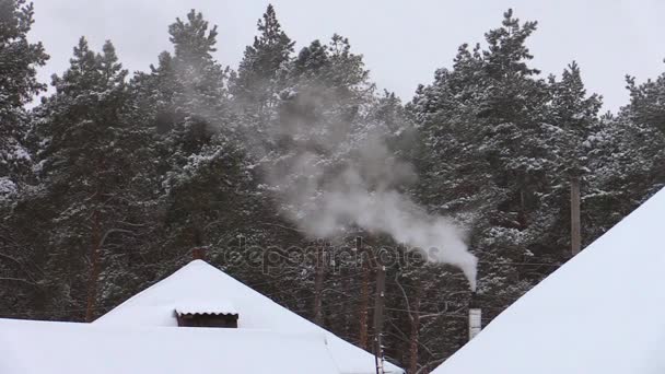 Снежные крыши и дым из дымохода — стоковое видео