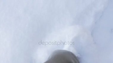 Adam kışın, yukarıda, ayaklar görünümü aşağı bakıyor derin karda yürür