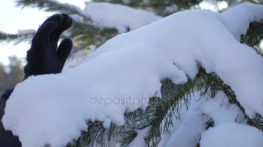 Bakan bir adam arkasından karlı bir şube, yakın çekim