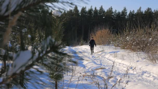 Homem feliz corre e salta em uma floresta nevada — Vídeo de Stock