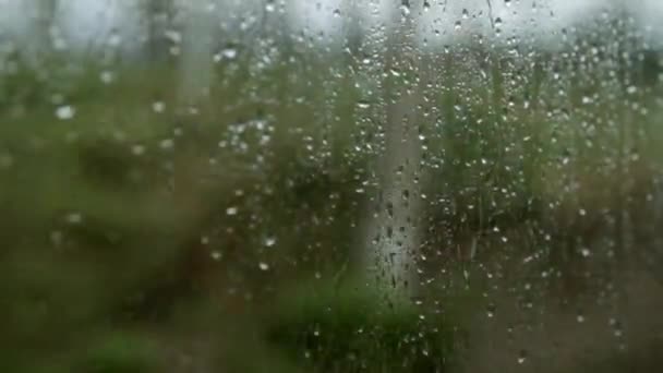 Σταγόνες βροχής στο παράθυρο του τρένου. Θολή φόντο, έξω από το παράθυρο. — Αρχείο Βίντεο