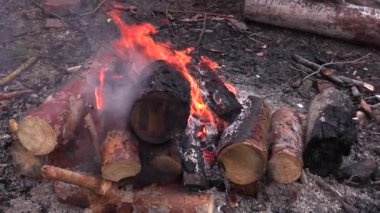 Kış ormandaki şenlik ateşi.