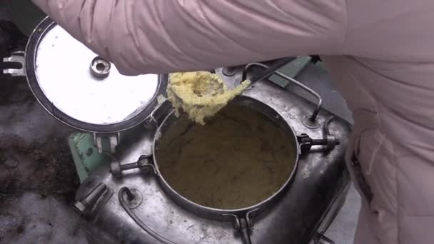As mãos femininas exército derramou cereal em uma tigela com uma concha . — Vídeo de Stock