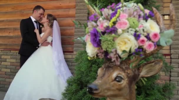 Наречений і наречений цілуються і обіймаються. Букет квітів на голові оленя . — стокове відео