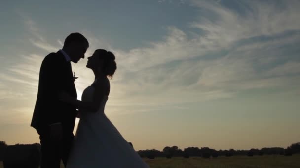 Наречений і наречений цілуються в полі на заході сонця . — стокове відео