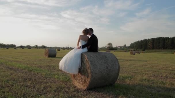 Пара сидящих на стоге сена. Жених и невеста, закат на лугу — стоковое видео
