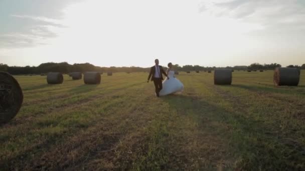 Paar weide waarop bij zonsondergang. De bruid en bruidegom hand in hand. — Stockvideo