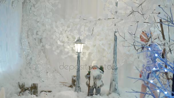 Little girl in suit snow maiden walks in fairy forest — Stock Video