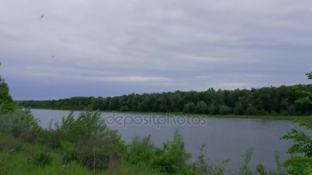 Clip de lapso de tiempo del río y las nubes — Vídeos de Stock