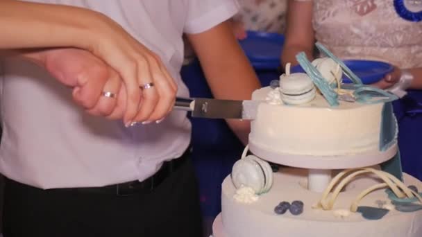 Närbild på en brudparet skära deras bröllopstårta. — Stockvideo