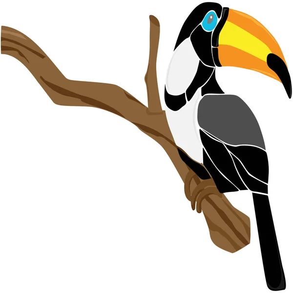 Toucan siyah ve beyaz bir dalda