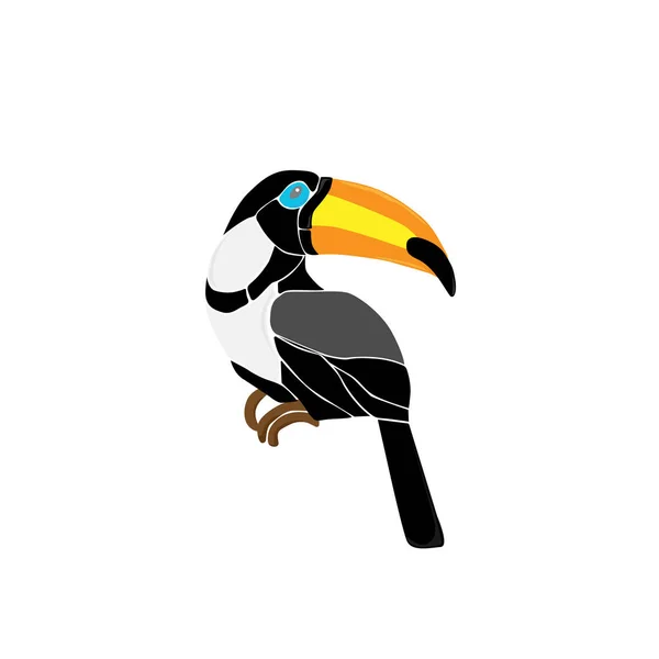 Toucan på en gren — Stockfoto