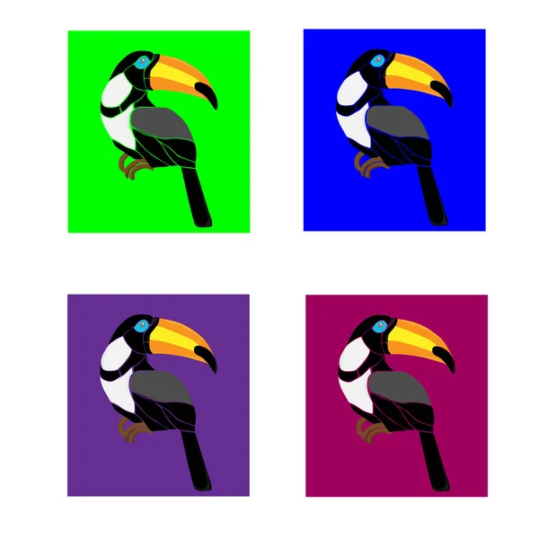 Toucan in four squares — Stock Photo, Image