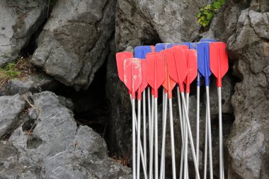 Plaja yakın kayalara karşı yaslanmış kayak için kürek.