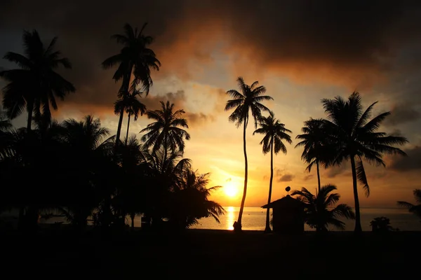 Sonnenaufgang am Kokosstrand — Stockfoto