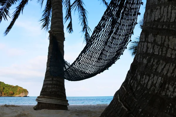 Vaggan med kokosnöt träd på stranden. — Stockfoto