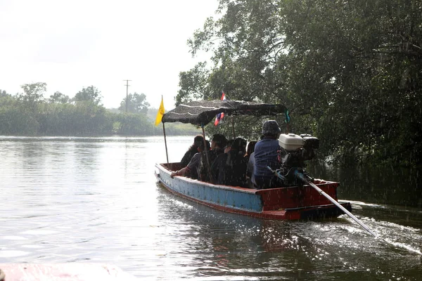 Boat trips run in the rain in the mangrove forest. — Stock Photo, Image