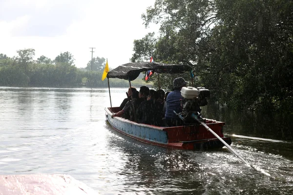 Excursii cu barca in ploaie in padurea de mangrove . — Fotografie, imagine de stoc