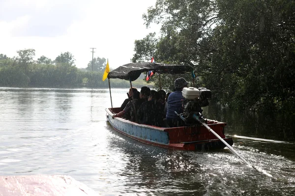 Boat trips run in the rain in the mangrove forest. — Stock Photo, Image