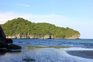 Formanın deniz suyu.