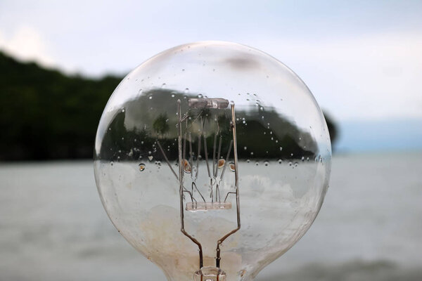 Light bulb with natural views.