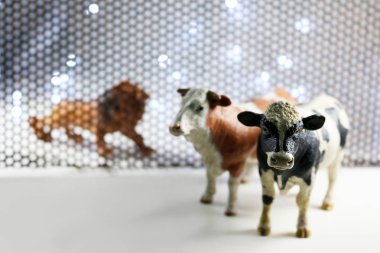 Aslan ve inek hayvanlar çelik ızgara aracılığıyla modeli.