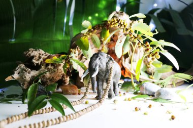 Hayvan modeli kavramları.