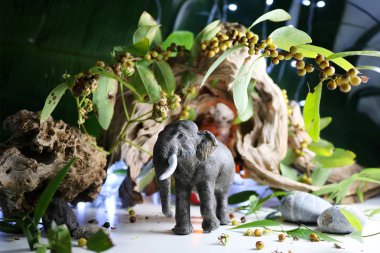 Hayvan modeli kavramları.