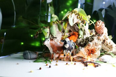 Hayvan modeli kavramları.