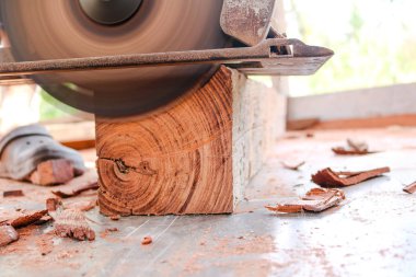 Elektrikli bir daire kullanarak işçi kesim ahşap gördüm.