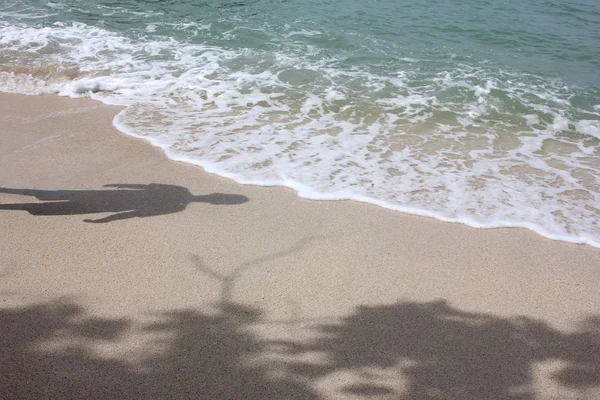 Stíny mužů a strom na pláži. — Stock fotografie