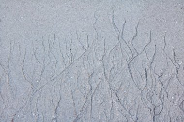 Desen erozyon kum plaj.