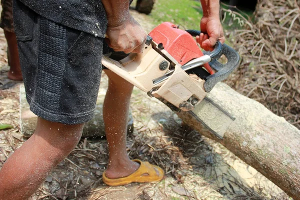 Los trabajadores están usando una motosierra aserrando árboles . — Foto de Stock