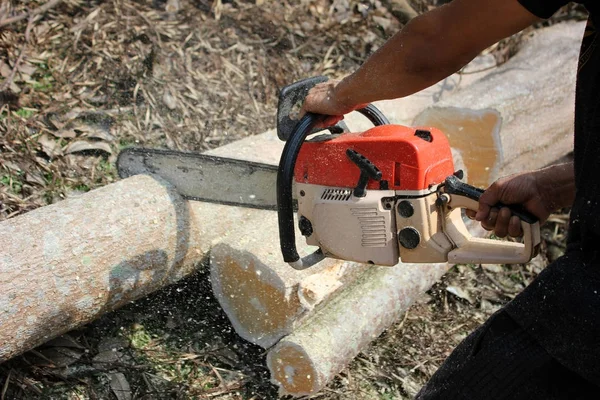 Os trabalhadores estão usando uma motosserra serrar árvores . — Fotografia de Stock