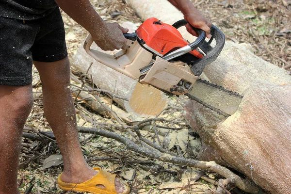 Os trabalhadores estão usando uma motosserra serrar árvores . — Fotografia de Stock