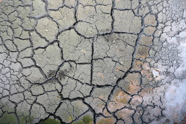 Kuraklık zemin desen — Stok fotoğraf