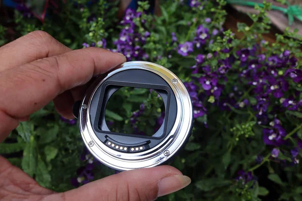 El adaptador de lentes para macro con flores . — Foto de Stock