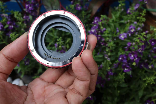 Lins adapter för makro med blommor. — Stockfoto