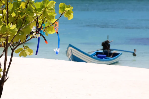 Máscara de mergulho pendurada na árvore com vista para a praia e mar — Fotografia de Stock