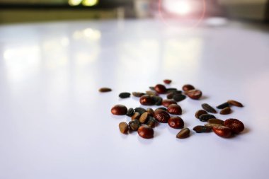 Beyaz arka planda tohum ekimi ağaç