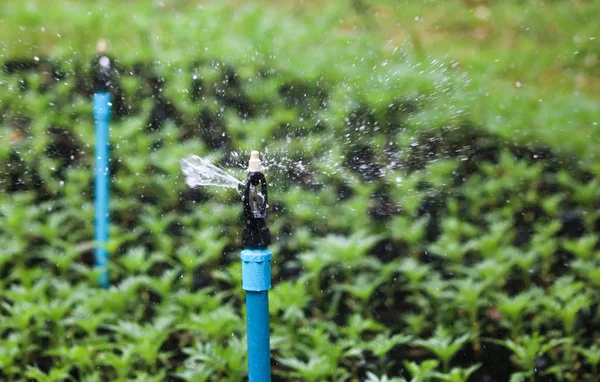 Водяний спринклер біжить до поливу рослин — стокове фото