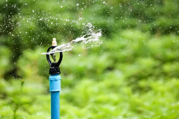 Aspersor de agua corriendo a las plantas de riego —  Fotos de Stock