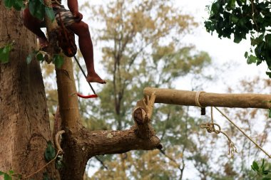 Yerel dağcı dalları kesip bir el testeresi kullanarak 