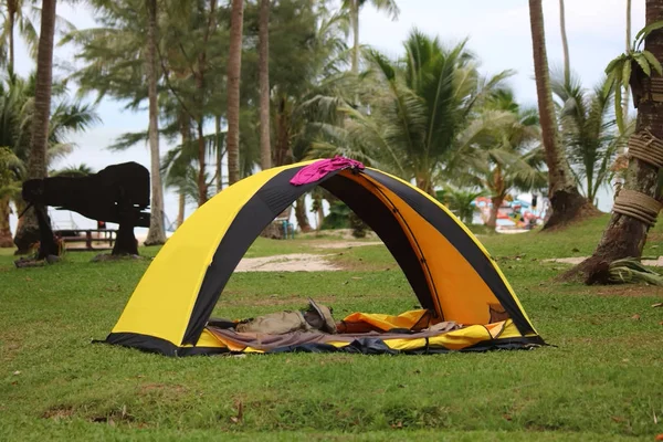 코코넛 해변에서 잔디밭에 텐트 캠핑, — 스톡 사진