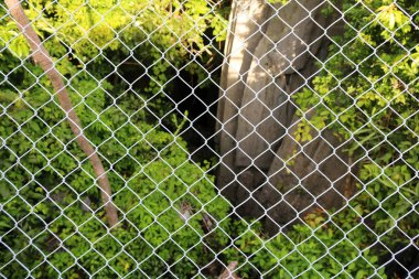 Ağaçlar, kayalar ve doğal çelik kafes bloke