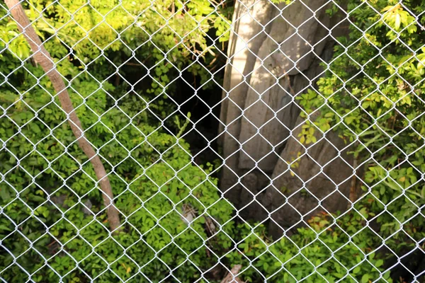 Ağaçlar, kayalar ve doğal çelik kafes bloke