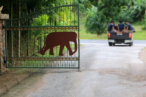 Elefante cancello casa strada e natura sfondo — Foto Stock