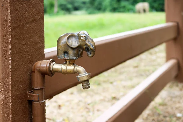庭で象真鍮蛇口 — ストック写真