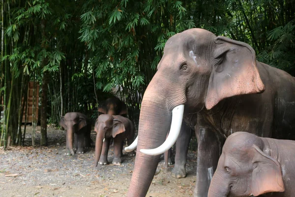 La statua dell'elefante nel giardino naturale — Foto Stock