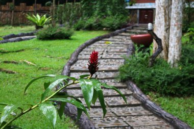 Bahçe ve bir banyo güzel güzergahları
